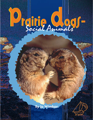 Prairie Dogs - Social Animals