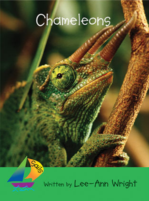 Chameleons