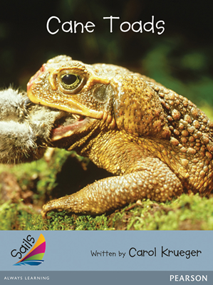Cane Toads