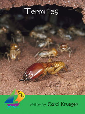 Termites