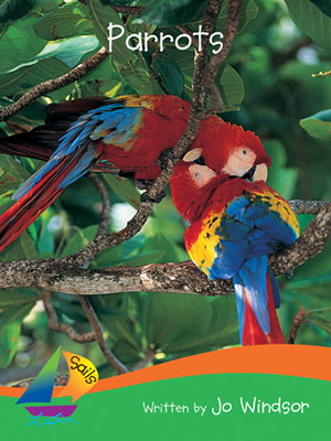 Parrots