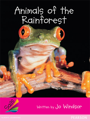 Animals of the Rainforest