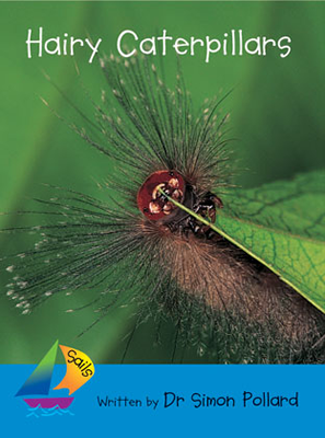 Hairy Caterpillars