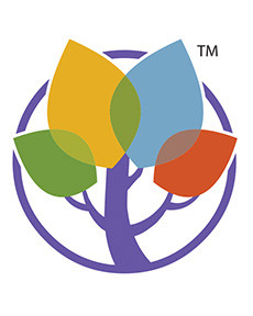 Fountas and Pinnell Literacy