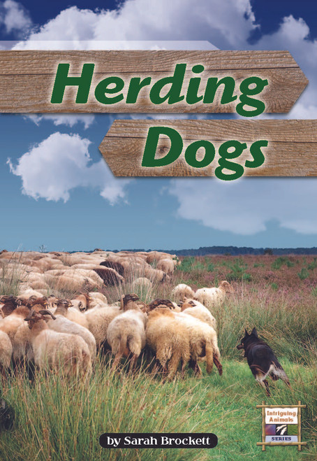 LLI Purple Little Book (6 PK): Herding Dogs