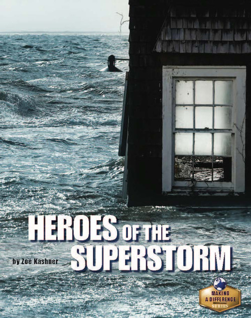 LLI Purple Little Book (6 PK): Heroes of the Superstorm