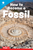 STEAM Readers: How to Become a Fossil