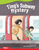 Fiction Readers 2: Ting's Subway Mystery