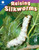 Smithsonian Readers 1: Raising Silkworms