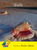 Shells