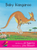 Baby Kangaroo