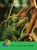 Chameleons