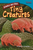 Nonfiction Readers 4: Strange but True: Tiny Creatures