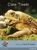 Cane Toads