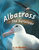 Albatross
