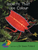 Insects that Use Colour