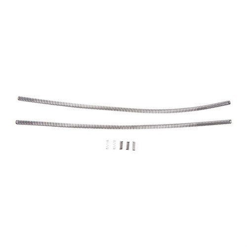 CMMG 22 Arc Spring Kit
