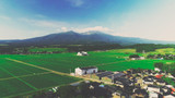 Distillery profile: Yuza  