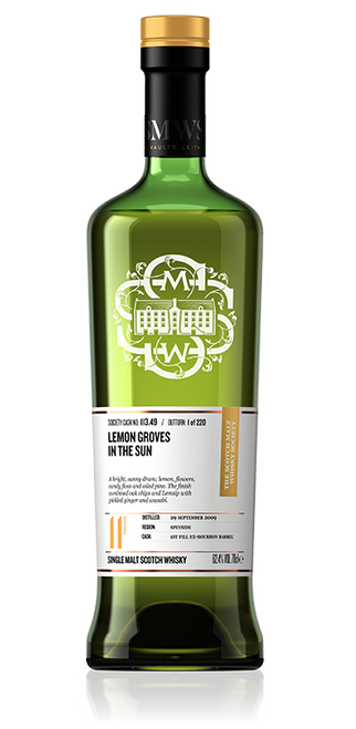 Lemon groves in the sun