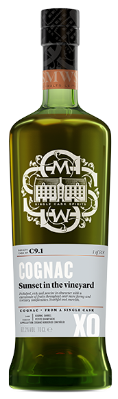 Sunset in the vineyard