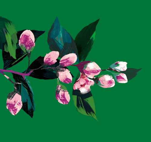 Frühjahrstasting - Hamburg