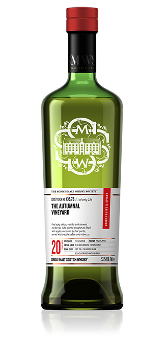 The autumnal vineyard