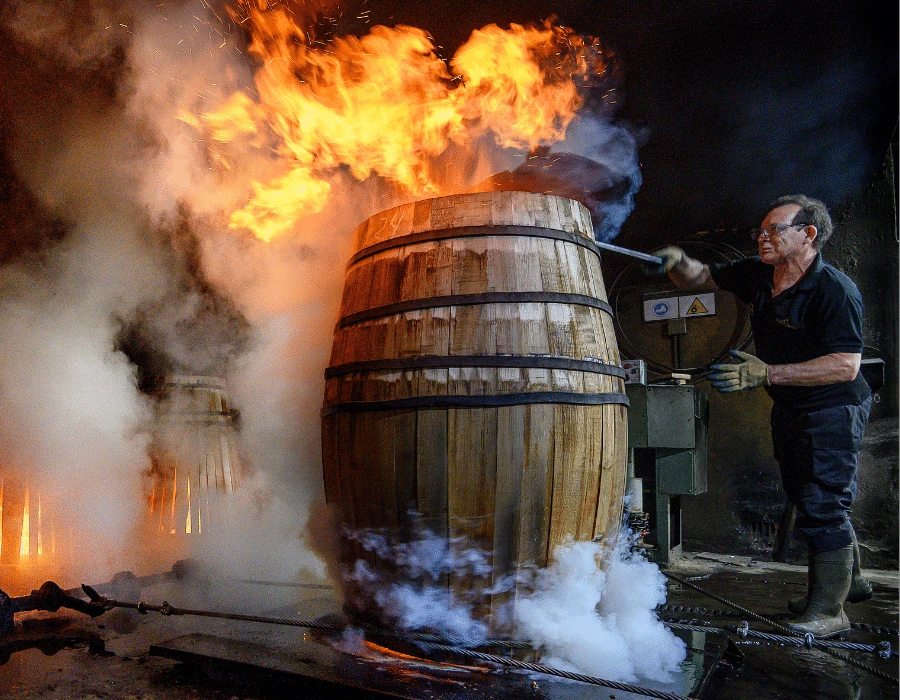 Festival tasting – Furth
