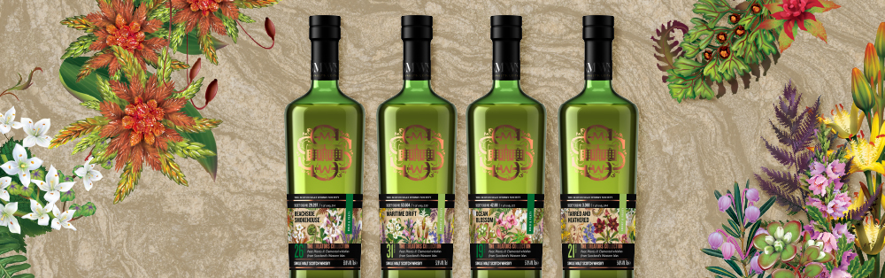 THE CREATORS COLLECTION