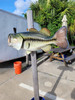 32 Inch Largemouth Bass Fish Mount - Flank View