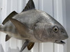 25 Inch Black Drum Full Mount - Face View