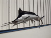 95" Black Marlin Half Mount Fish Replica