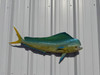 In Stock 36 Inch Bull Dolphin Full Mount Fish Replica