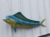 51 inch cow dolphin fish replica for sale