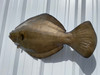 33 Inch Flounder Fish Mount - Back View