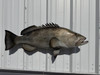 38 inch gag grouper fish replica for sale