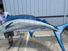 132 Inch Blue Marlin Fish Mount - Face View 132 Inch Blue Marlin Fish Mount - Face View