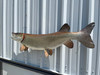 47 inch muskie fish reproduction