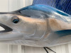 110 inch pacific sailfish fish replica