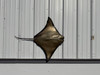 40 inch cownose ray half sided replica reproduction