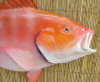 32" Red Snapper Half Mount Fish Replica