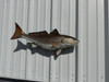 In Stock 29 Inch Redfish Fish Mount Replica