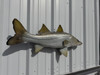 39 inch snook fish mount in stock