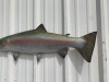 39" Steelhead Trout Half Mount Fish Replica