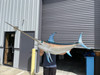 100" Swordfish Full Mount - In Stock