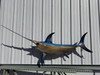 In Stock 100 Inch Swordfish Fish Full Mount - Side View