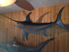 106" Broadbill Swordfish Full Mount