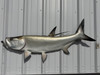 57 Inch Tarpon Fish Half Mount - Side View