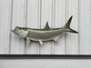 51 Inch Tarpon Full Fish Wall Mount - Side View