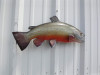 24" Brook Trout Full Mount