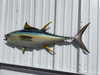 46 Inch Yellowfin Tuna Half Fish Mount - Flank View